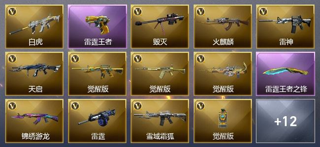 穿越火线（CF）0传说角色 0传说武器 9王者武器 0炫金武器 31V武器 13V角色 6皮肤 可排位 专家