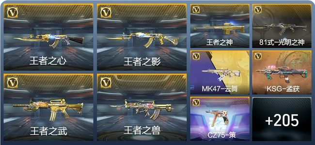 穿越火线：枪战王者14王者武器 214英雄武器 8英雄角色 384万化 传奇