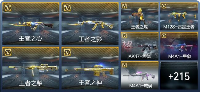 穿越火线：枪战王者V7 14王者武器 224英雄武器 4英雄角色 326万化 专家