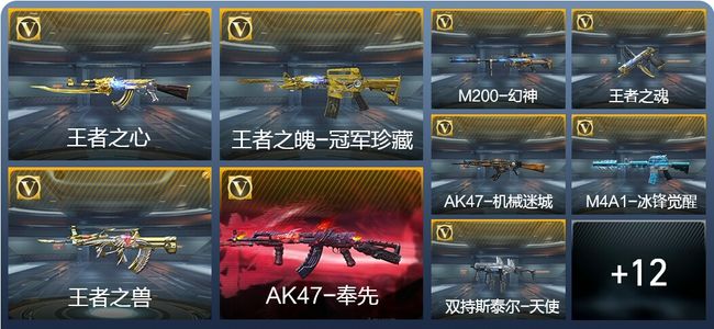 穿越火线：枪战王者8王者武器 120英雄武器 120英雄角色 226万化 新锐