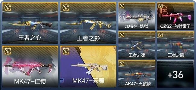 穿越火线：枪战王者5王者武器 208英雄武器 208英雄角色 386万化 新锐