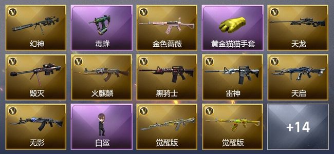 穿越火线（CF）5王者武器 32V武器 可排位