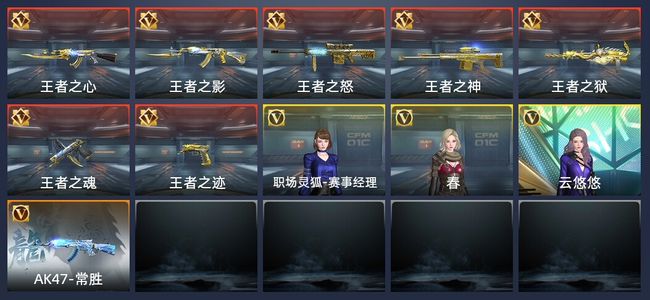 穿越火线：枪战王者V8 208英雄武器 专家S