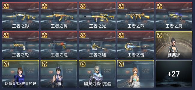 穿越火线：枪战王者V9 41王者 335英雄武器 专家S