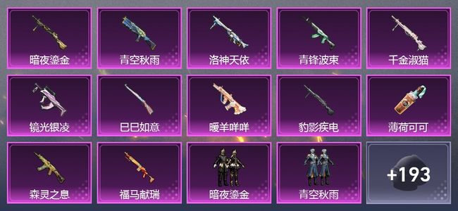 和平精英12升级枪 8粉装 201枪皮 148套装 6,2390热力 青铜