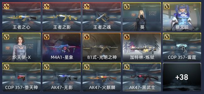 穿越火线：枪战王者V6 3英雄角色 专家