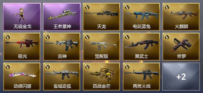 穿越火线（CF）4王者武器 21V武器 17V角色 可排位