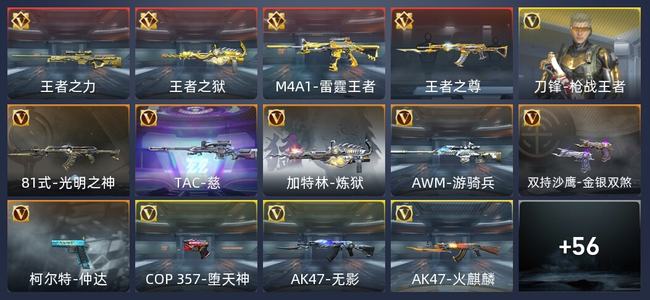 穿越火线：枪战王者V6 21王者 1英雄角色 专家