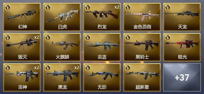 穿越火线（CF）1王者武器 1炫金武器 76V武器 2V角色 21皮肤 可排位