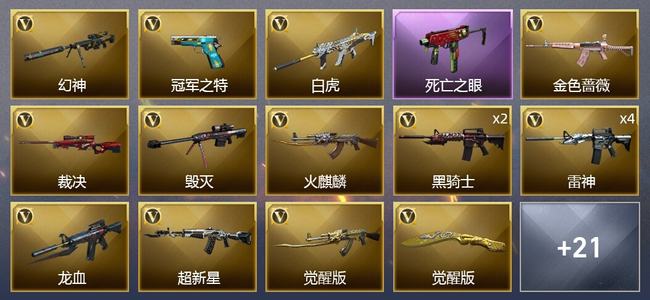 穿越火线（CF）2王者武器 27V武器 4V角色 20皮肤 可排位
