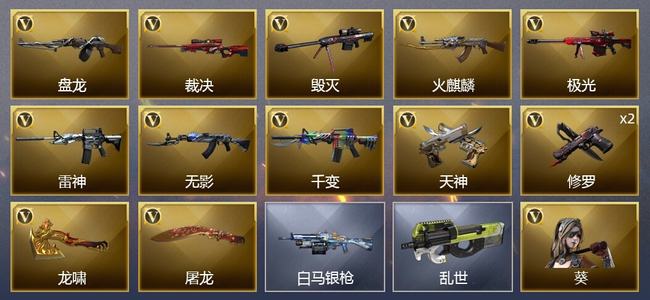 穿越火线（CF）13V武器 1V角色 2皮肤 可排位 专家