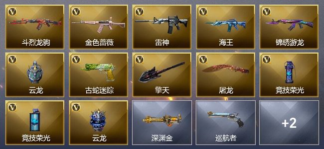 穿越火线（CF）13V武器 5皮肤 可排位 传奇