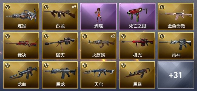 穿越火线（CF）1炫金武器 55V武器 1V角色 15皮肤 可排位 传奇