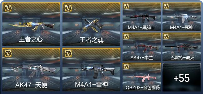 穿越火线：枪战王者2王者武器 65英雄武器 1英雄角色 67万化 专家S