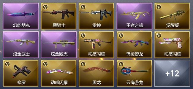 穿越火线（CF）1王者武器 2炫金武器 17V武器 1V角色 5皮肤 可排位 传奇