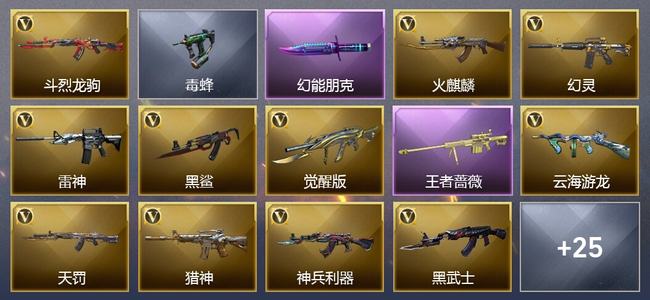 穿越火线（CF）1王者武器 27V武器 2V角色 8皮肤 可排位 新锐