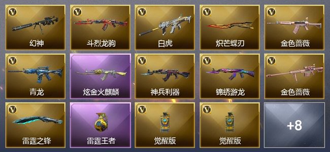 穿越火线（CF）1王者武器 1炫金武器 16V武器 5皮肤 可排位 传奇