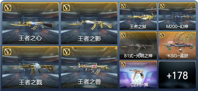 穿越火线：枪战王者V6 12王者武器 204英雄武器 6英雄角色 412万化 枪王SSS