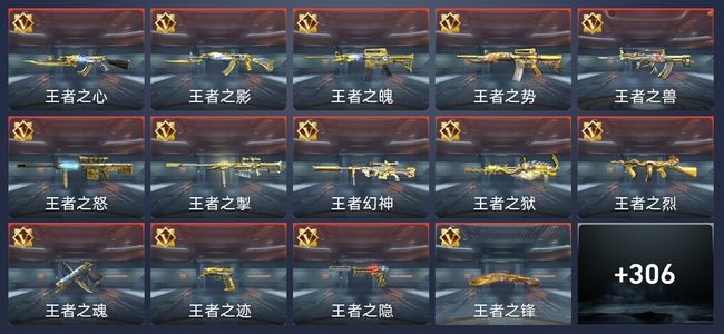 穿越火线：枪战王者39王者 307英雄武器 13英雄角色 490万化 枪圣S