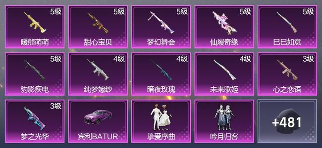 和平精英1载具 11升级枪 14粉装 1尾迹 270枪皮 237套装 104210热力 16印记 星钻