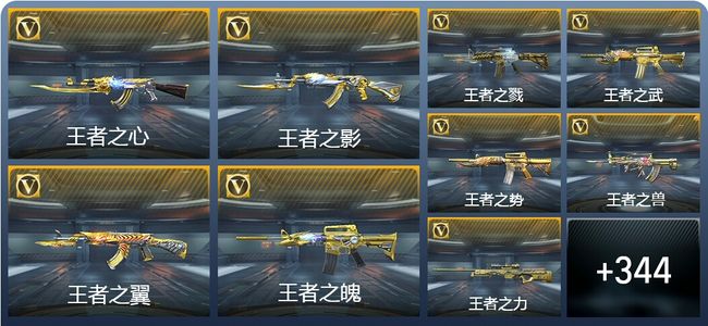 穿越火线：枪战王者V10 39王者武器 376英雄武器 11英雄角色 507万化 大师