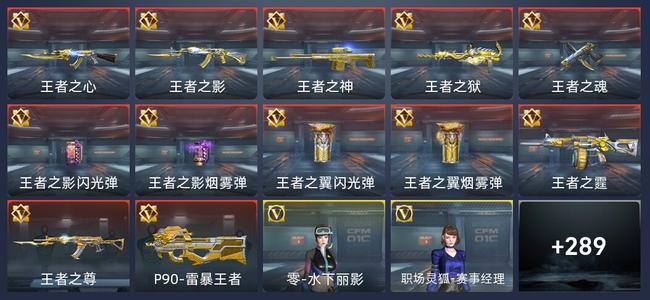 穿越火线：枪战王者12王者 294英雄武器 9英雄角色 566万化 新锐