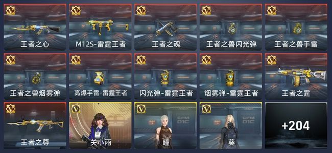 穿越火线：枪战王者V6 11王者 211英雄武器 7英雄角色 363万化 专家
