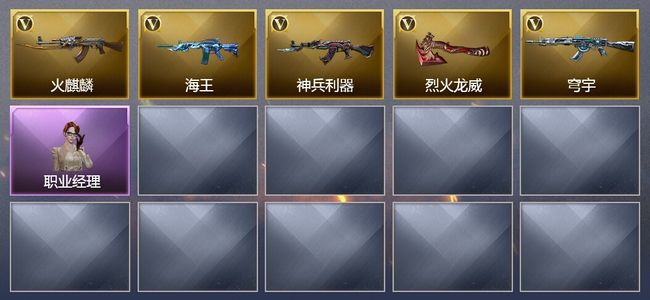 穿越火线（CF）5V武器 4皮肤 可排位 专家