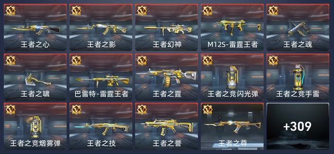 穿越火线：枪战王者V8 15王者 313英雄武器 10英雄角色 207万化 枪神