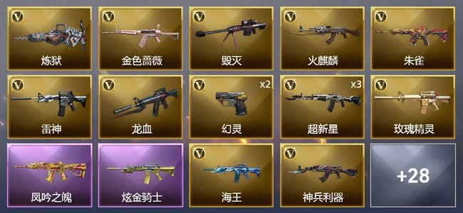 穿越火线（CF）1王者武器 1炫金武器 46V武器 5皮肤 可排位 新锐