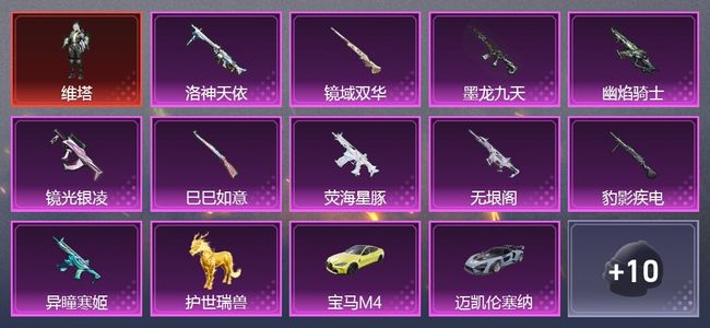 和平精英5载具 14升级枪 6粉装 9尾迹 263枪皮 197套装 89636热力 9印记 白银