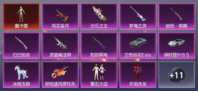 和平精英4载具 9升级枪 8粉装 10尾迹 212枪皮 173套装 73996热力 12印记 白银