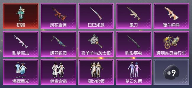 和平精英2载具 10升级枪 10粉装 5尾迹 330枪皮 234套装 107081热力 12印记 白银