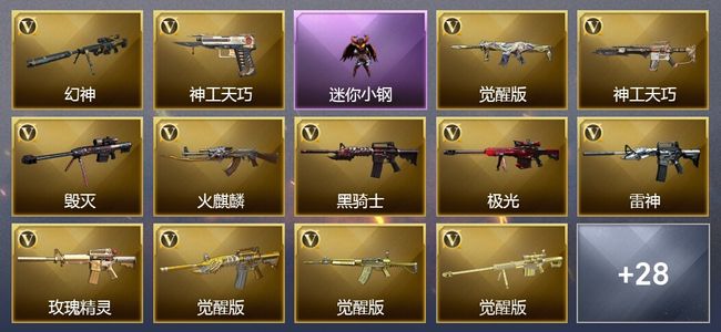 穿越火线（CF）30V武器 11皮肤 可排位 传奇