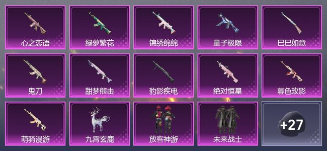 和平精英1载具 12升级枪 6粉装 221枪皮 141套装 12印记