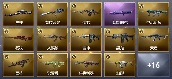 穿越火线（CF）2王者武器 28V武器 2V角色 18皮肤 可排位