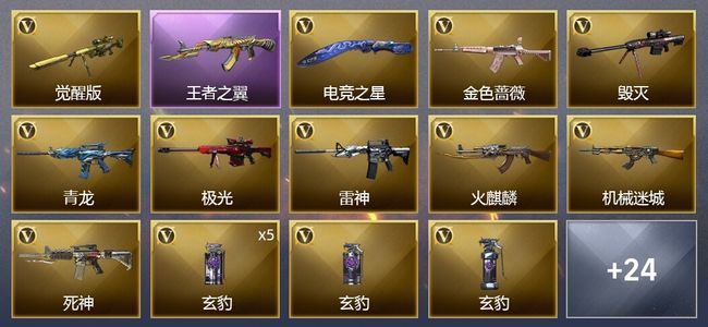 穿越火线（CF）1王者武器 39V武器 11皮肤 可排位 枪王