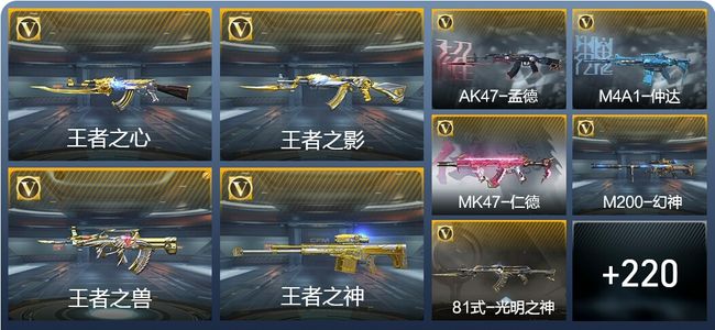 穿越火线：枪战王者V6 12王者武器 256英雄武器 9英雄角色 456万化 枪神