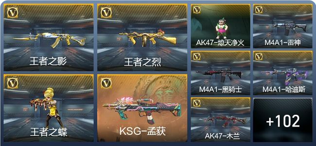 穿越火线：枪战王者V5 5王者武器 111英雄武器 5英雄角色 253万化 专家S