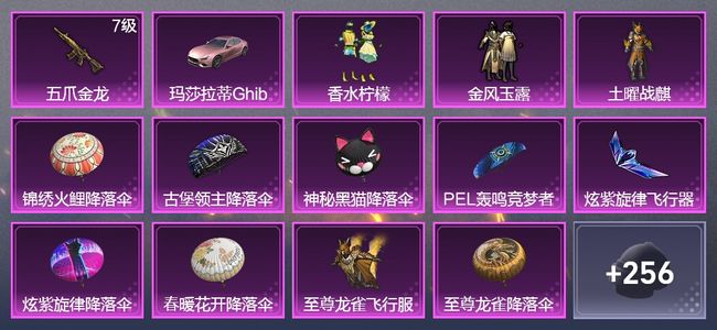 和平精英1载具 1升级枪 3粉装 2飞行器 136枪皮 140套装 50677热力 3印记 黄金