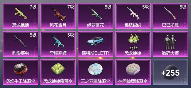 和平精英1载具 7升级枪 2粉装 166枪皮 104套装 50287热力 12印记