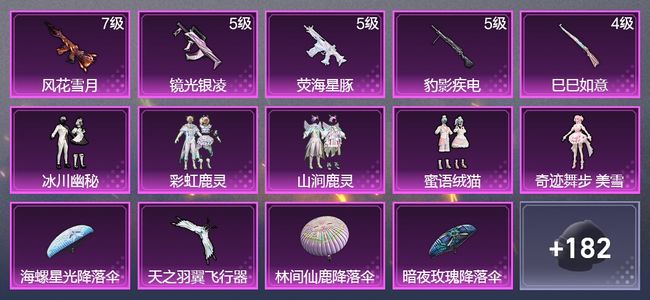 和平精英5升级枪 5粉装 1飞行器 105枪皮 90套装 36417热力 2印记