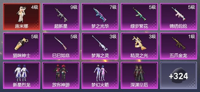 和平精英9升级枪 10粉装 9尾迹 195枪皮 130套装 73688热力 10印记