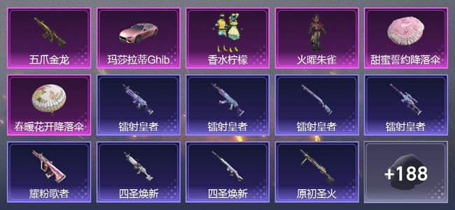 和平精英1载具 1升级枪 2粉装 115套装 42302热力 14印记