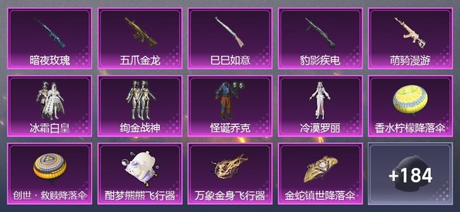 和平精英5升级枪 4粉装 3尾迹 132套装 4,4896热力 2印记