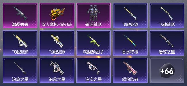 和平精英1载具 1升级枪 1粉装 48套装 2,0133热力 1印记