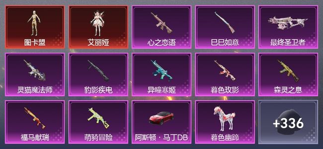 和平精英4载具 10升级枪 4粉装 9尾迹 206套装 8,9301热力 20印记