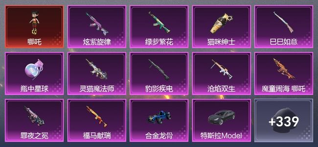 和平精英6载具 11升级枪 2粉装 6尾迹 205套装 84516热力 10印记