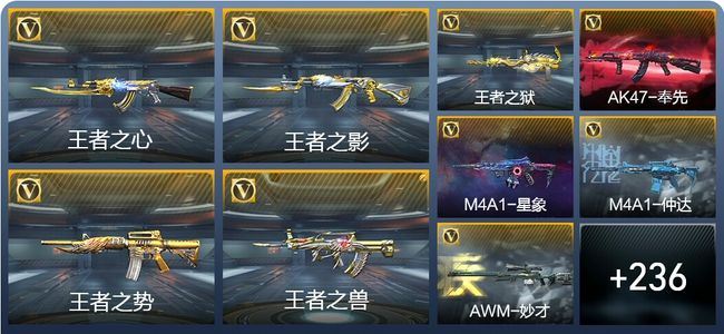穿越火线：枪战王者11王者武器 245英雄武器 9英雄角色 448万化 大师SS