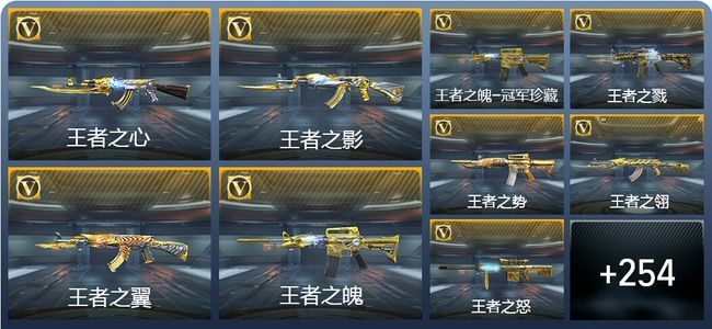 穿越火线：枪战王者40王者武器 263英雄武器 12英雄角色 401万化 枪圣SSS